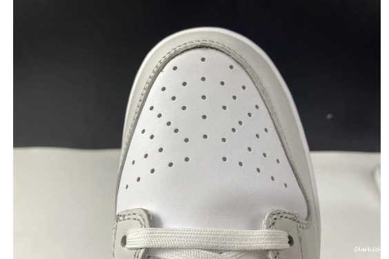 Dust" Nike Low DD1503-103 "Photon Dunk 1107